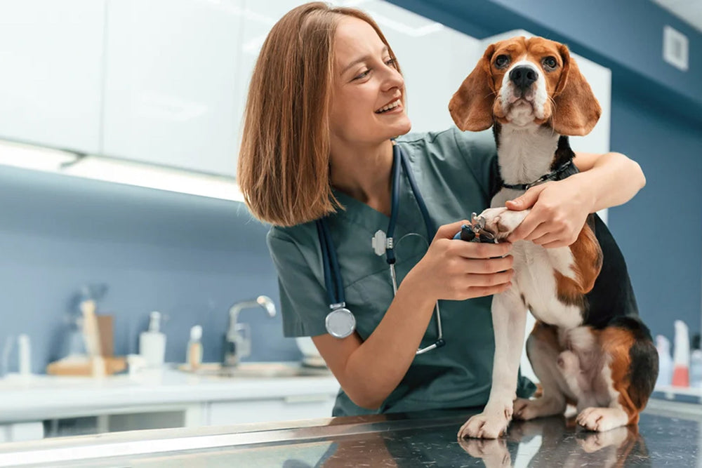 Best Scrubs for Vet Techs: Comfort Meets Function